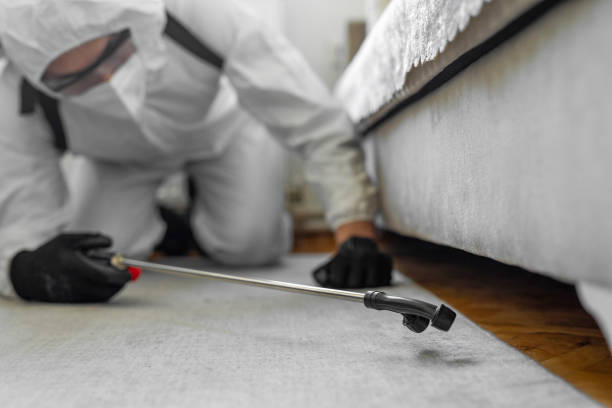 Professional Emergency Pest Control technician working in Skidway Lake, MI